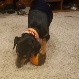 Meet your Posher, Sarita